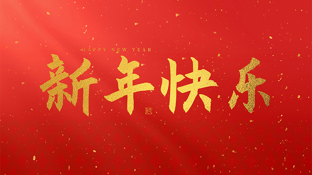 麗水市威儀自動(dòng)化技術(shù)有限公司祝全國(guó)人民2025新年快樂(lè)！